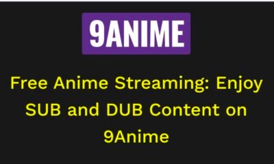 Top 7 Best 9Anime Alternatives Working in 2024