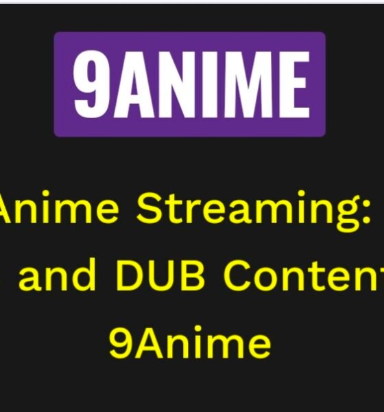 Top 7 Best 9Anime Alternatives Working in 2024